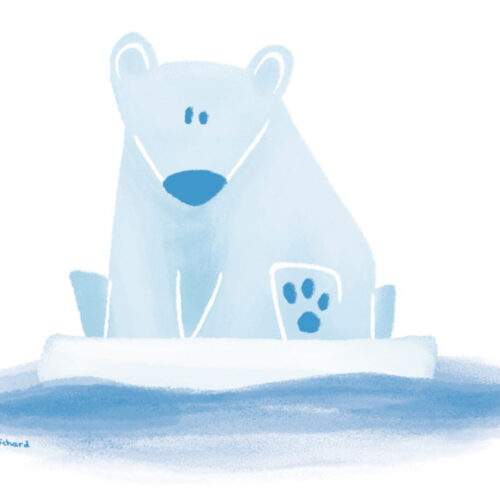 L’ours blanc et l’or bleu